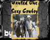 Wanted Sexy Cowboy