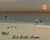 Sea Gulls Animated