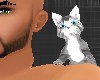 *-*Shoulder Kitten Gray