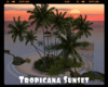 #Tropicana Sunset