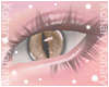 Ko ll Cat Eye Brown