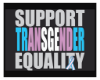 #TransPride