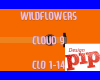Wildflowers - Cloud 9