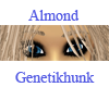 Almond Eyebrows Female