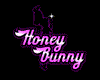 Honey Bunny