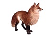 Rex the red Fox