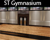 ST Modern Gymnasium GYM