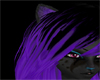 Blk & Purple Cat ears