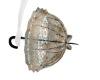 GP AG Victorian Umbrella
