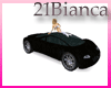 21b-car bundle 24 poses