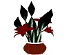 WINE PLANT