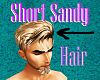 Short sandy hair