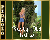 Rusty Old Trellis