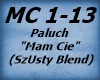 Paluch - Mam Cie (BLEND)