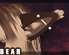 B | Canine Ears