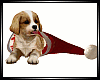 Christmas Puppy