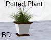[BD] Potted Plant
