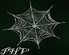 PHV Spider Web