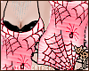 [PLL] Spider Web B-RXL