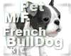 R|C French BullDog Gray