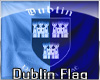 SS Dublin Flag