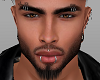 Head v22