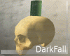Skull and Pastic Bottle