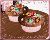 |H| Muffin Tray Chocolat