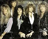 whitesnake poster