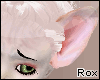 [Rox] Hairless Cat Ears