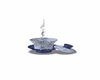 Gaiwan C2