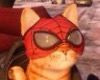 Cutout  Spider-cat