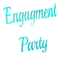 Teal Engagment Party Sgn