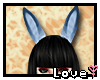 ♥ Luna Large Ears