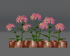 copper flower container