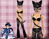 ª Catwoman Outfit