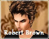 Robert Brown Hair