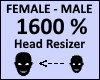 Head Scaler 1600%