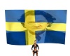 swedish flag light