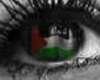 Palestine's Eye