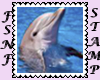 Dolphin Biggie Stamp