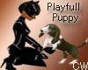 {CW}Playfull Puppy