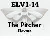 The Pitcher Elevate