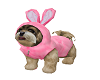PINK EASTER PUPPY