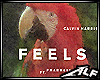 [ALF] Feels-CalvinHarris