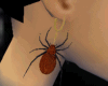 [aba] Spider Earrings