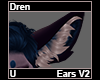 Dren  Ears V2