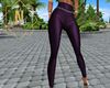 Elegant Purple Pants