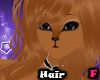 | Shi Hair 4 |