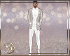 ℳ▸Rian Silver Suit